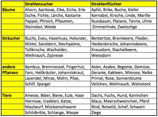 Feng Shui Garten Zum Erholen Und Zum Sich Wohlfuhlen